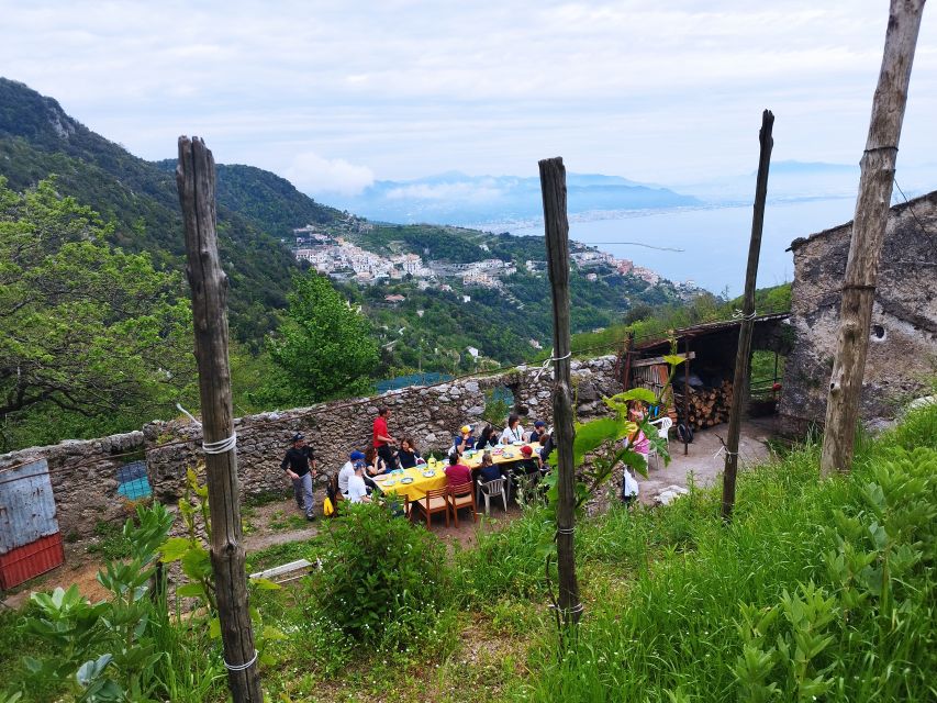 Trekking Lemon Tour - Starting in Vietri sul Mare: meet-up, timing, and what to wear