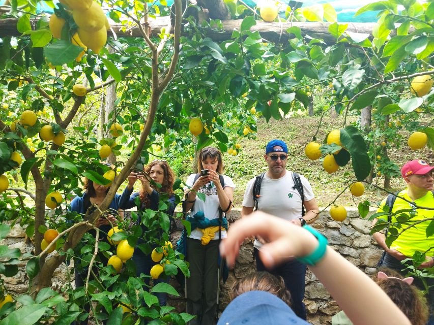 Trekking Lemon Tour - Albori village walk and its ceramics: why this stop feels different