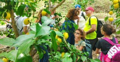 Trekking Lemon Tour - From Vietri to Raito via Santa Maria delle Grazie: first climbs and first views