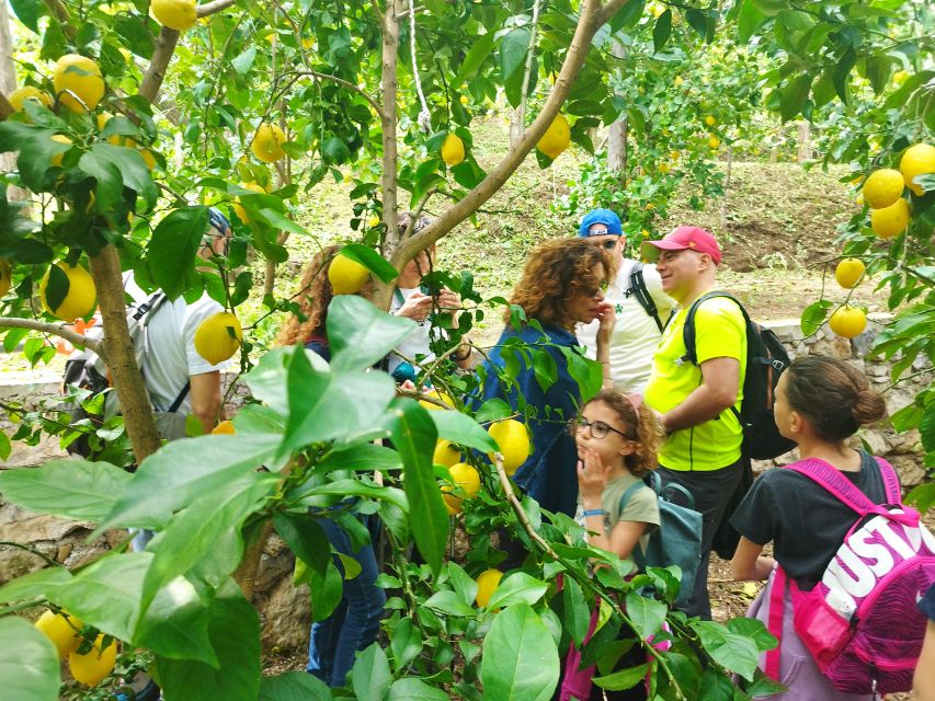 Trekking Lemon Tour - Monte Falerio and the winery: refreshment breaks without losing the trail