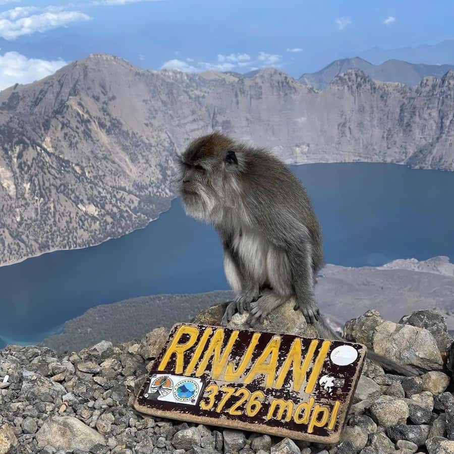 trekking mount rinjani summit join in group tour - Key things I’d circle before you book