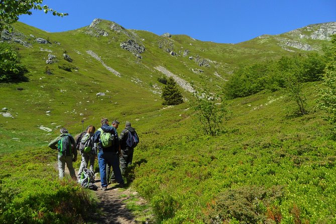 Trekking on the roof of Tuscany - Getting There From Pistoia: Pickup That Saves Your Morning