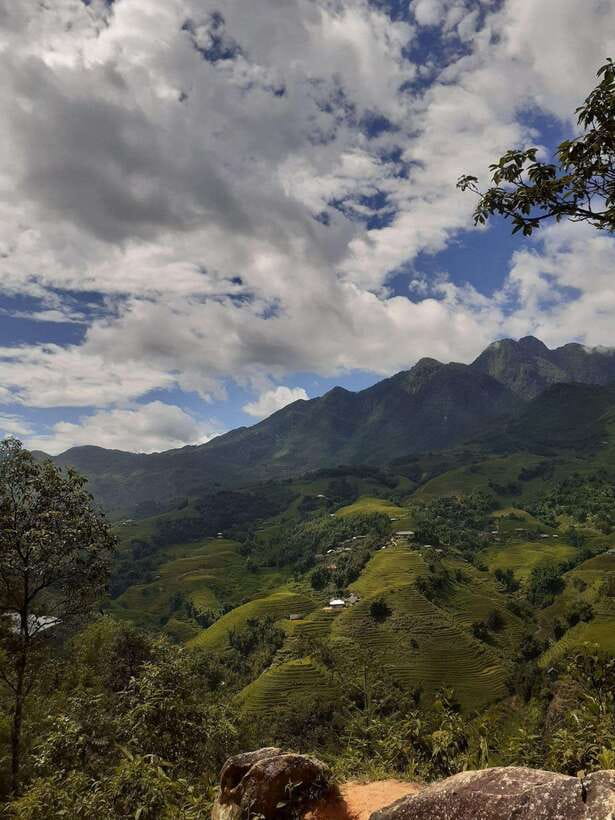 Trekking Sapa 1 Day With Local Guide, Terraced Rice Fields - Key Points You’ll Care About