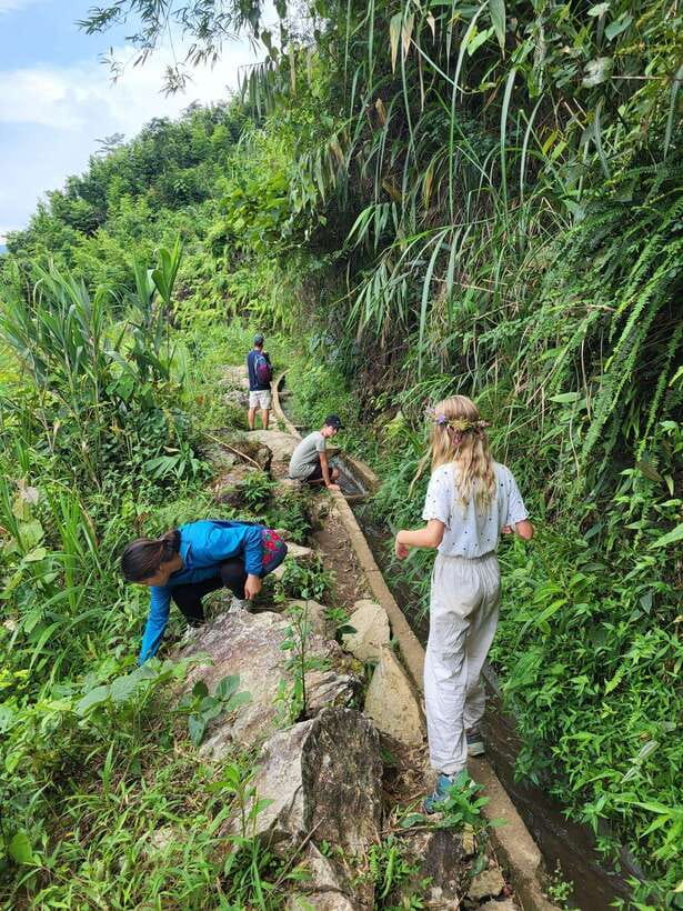 Trekking Sapa 1 Day With Local Guide, Terraced Rice Fields - Rice Terraces and Hoang Lien Son Views: Getting to the 1,800 m Feeling