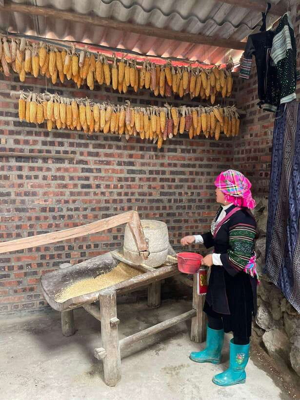 Trekking Sapa 1 Day With Local Guide, Terraced Rice Fields - Y Linh Ho Lunch With Hmong Families: Food as a Window Into Daily Life