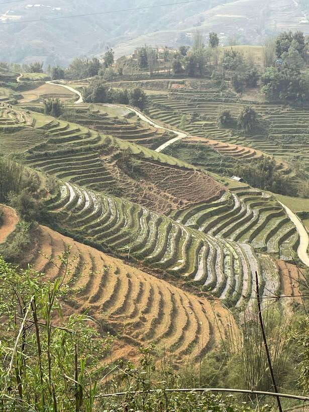 Trekking Sapa 1 Day With Local Guide, Terraced Rice Fields - Who This Sapa Trek Fits Best