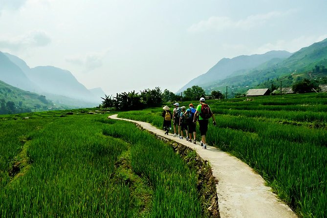 Trekking Through Rice Terraced Fields - 1Day - Getting from Sapa Town to the trail by 9:30