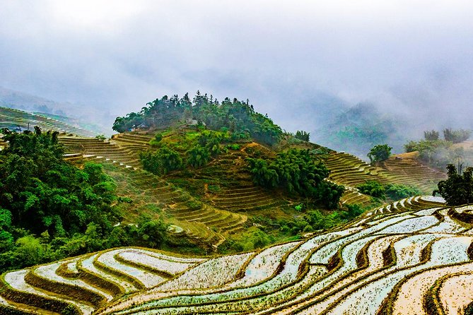 Trekking Through Rice Terraced Fields - 1Day - Stop 3: Ta Van village and meeting the Giay community