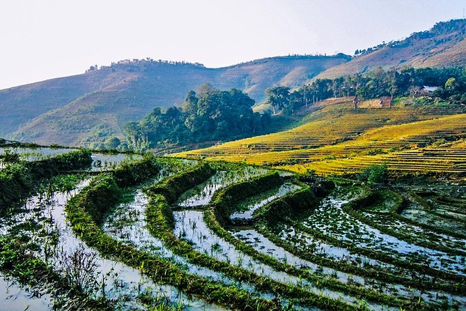 Trekking Through Rice Terraced Fields - 1Day - The walking reality: terraced steps, steep bits, and slippery mud