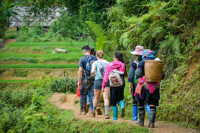 Trekking Through Rice Terraced Fields - 1Day - Culture you can actually talk about (not just watch)