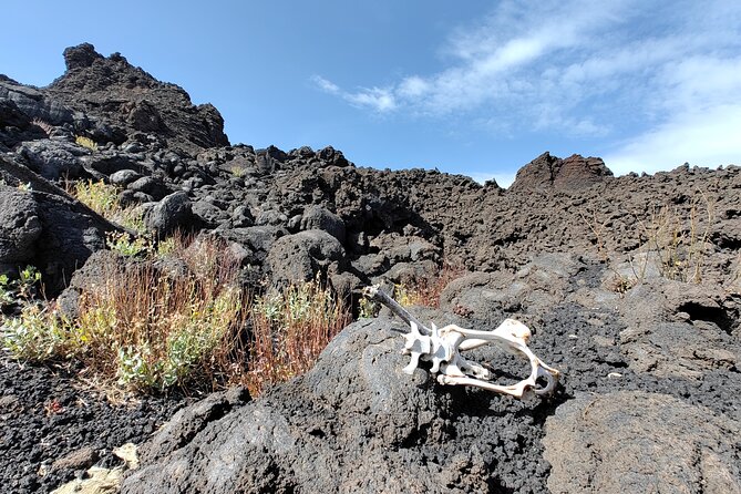 Trekking to Bottoniera Craters - Photo moments and the little details that make them better