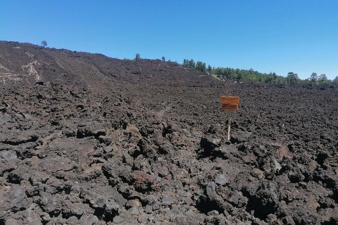 Trekking to Bottoniera Craters - Who this Etna trek is best for (and who should think twice)