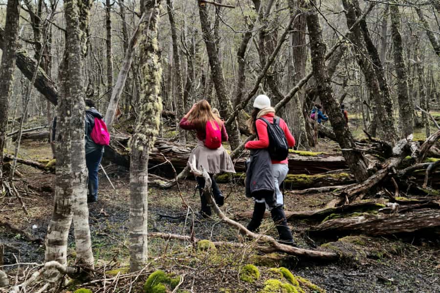 Trekking to Emerald Lagoon - Who should do the hike (and who should skip it)