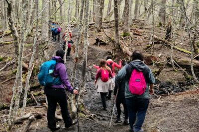 Trekking to Emerald Lagoon - The route to Laguna Esmeralda: valley crossings, peat bogs, and the Esmeralda River