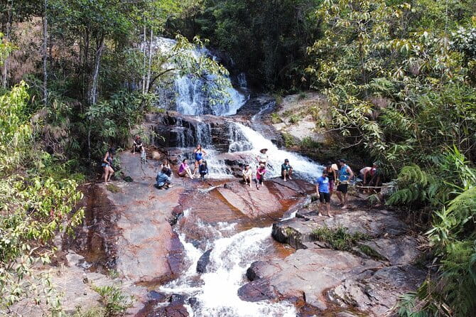 Trekking Tour to Hidden Waterfall & Sturgeon Farm for dog-lovers - 7 dogs leading the way through Da Lat forest paths