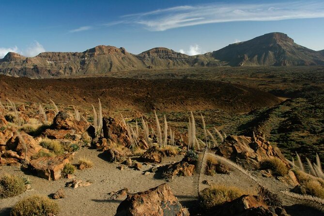 Trekking, wineries, birdwatching, local gastronomy, etc. - Key highlights before you go