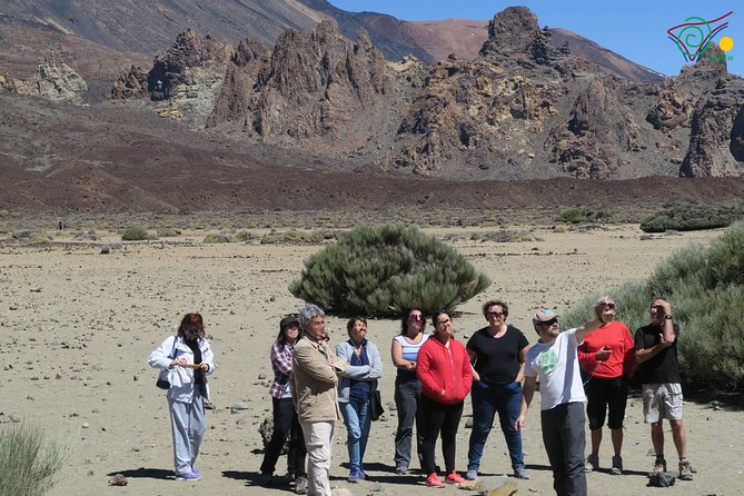 Trekking, wineries, birdwatching, local gastronomy, etc. - Volcanology and Teide-style stops with David Calvo and Félix