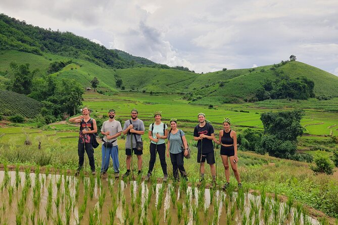 Trekking with Lunch cooked by Bamboo in the Chiang Rai jungle - Key highlights worth waking up for