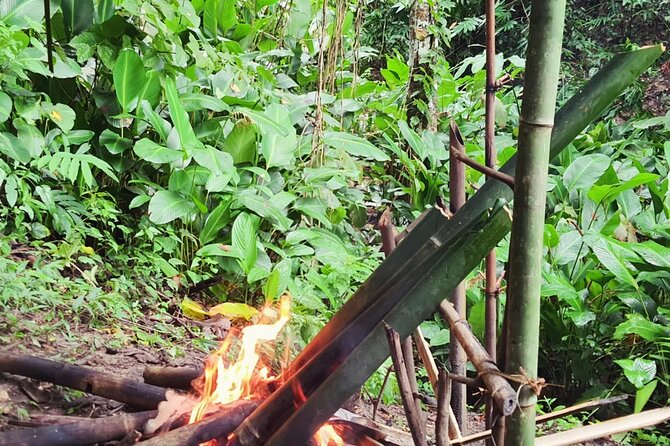 Trekking with Lunch cooked by Bamboo in the Chiang Rai jungle - Price and value: is $58.32 a fair deal?