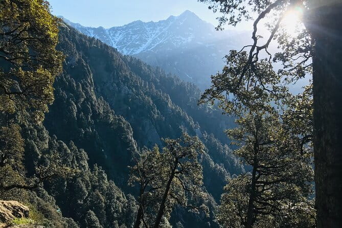 Triund Trek & Snow Line Trek - Should you book Triund Trek & Snow Line Trek?