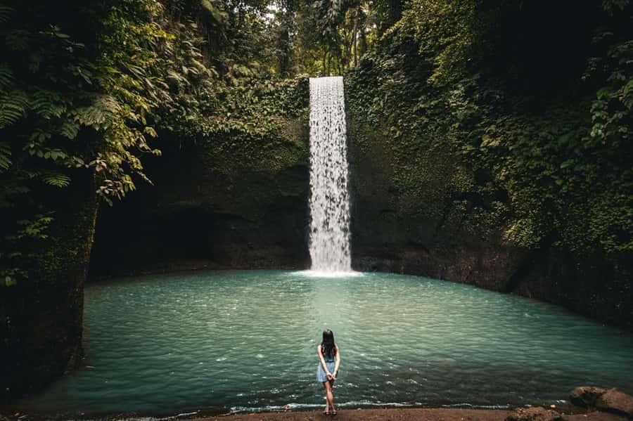 Ubud: Rice Terrace, Holy Water Temple & Waterfalls Trek Tour - Key Points Before You Go