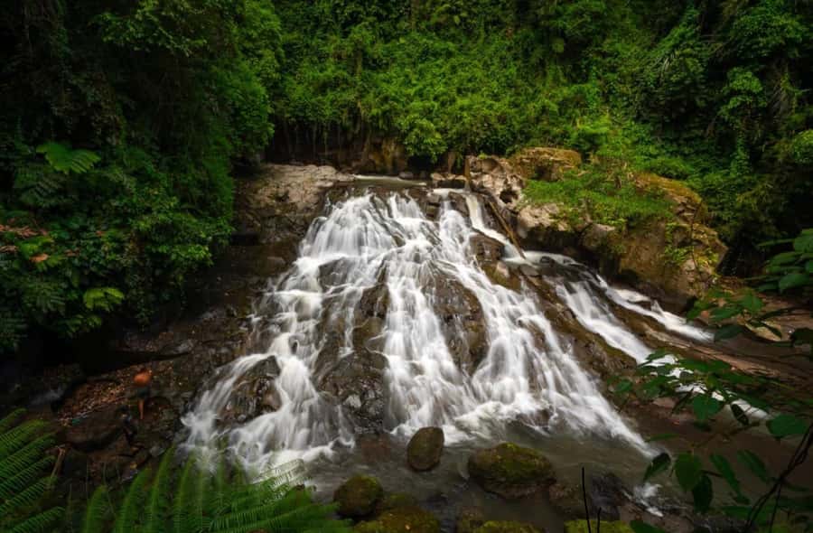 Ubud: Trekking Through Rivers & Forests to Three Waterfalls - Price and Value: Why $19 Can Make Sense