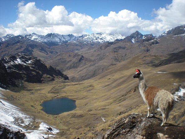 Ultimate Lares Trek & Inca Trail 5 days - Key Things That Make This Trek Worth It