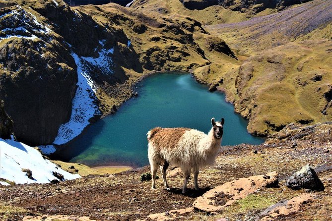 Ultimate Lares Trek & Inca Trail 5 days - Day 2: Condor Pass at 4700m and Cancha Cancha’s No-Signal Reality