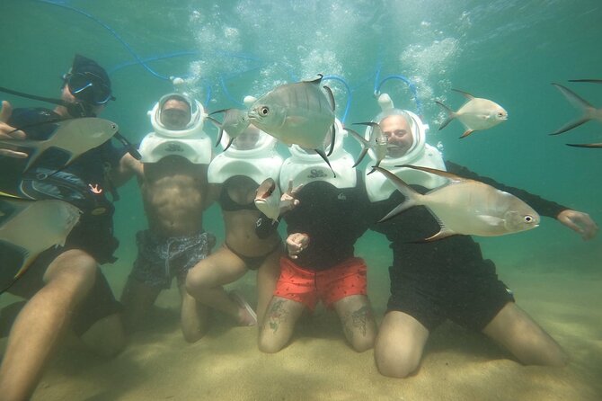 Underwater Sea Trek in San Juan: Explore Beneath the Waves - Marine Life After the Walk: Learning What You Saw