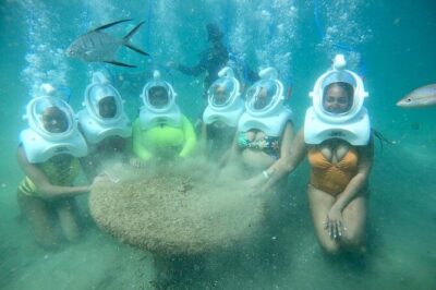 Underwater Sea Trek in San Juan: Explore Beneath the Waves - From Shallow Wading to the Ocean-Floor Zone: What You’ll See
