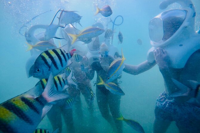 Underwater Sea Trek in San Juan: Explore Beneath the Waves - Guide Power: The People Who Make First-Timers Feel Safe