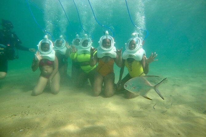Underwater Sea Trek in San Juan: Explore Beneath the Waves - Price and Value: Is $114.84 a Good Deal in San Juan?