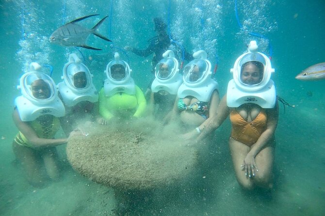 Underwater Sea Trek in San Juan: Explore Beneath the Waves - From Shallow Wading to the Ocean-Floor Zone: What You’ll See