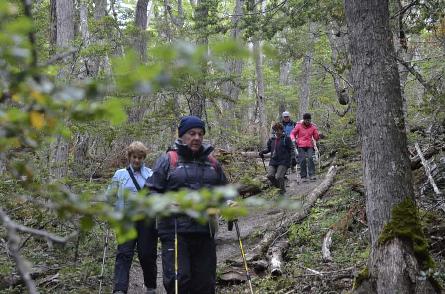 Ushuaia: Tierra del Fuego Trekking and Canoeing - Who Should Book, and Who Should Skip This One