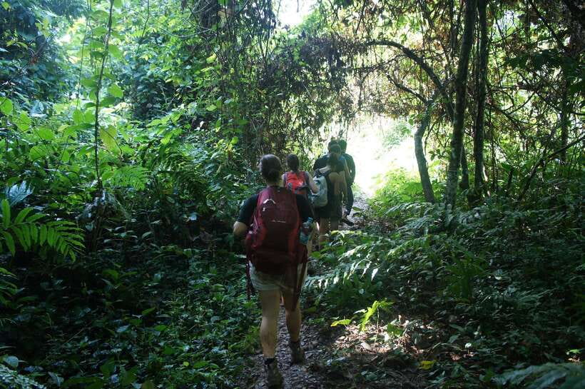 Vang Vieng: Jungle & Caves Full-Day Private Trekking Tour - Key highlights you’ll actually care about