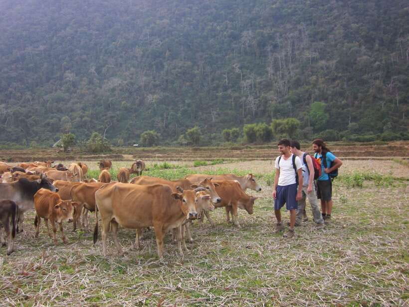 Vang Vieng: Jungle & Caves Full-Day Private Trekking Tour - A Vang Vieng trek that’s built for hikers, not spectators