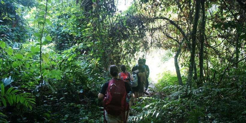 Vang Vieng: Jungle & Caves Full-Day Private Trekking Tour - Tham Hok Cave: stalactites and stalagmites worth slowing for