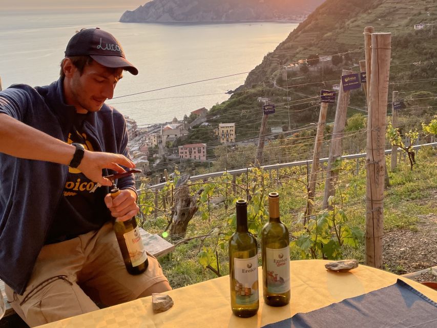 Vernazza: Panoramic Vineyard Trekking Tour w/ Wine Tasting - Quick hits before you go