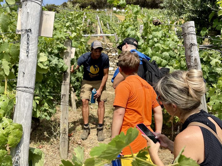Vernazza: Panoramic Vineyard Trekking Tour w/ Wine Tasting - Why this Vernazza vineyard trek is worth your time