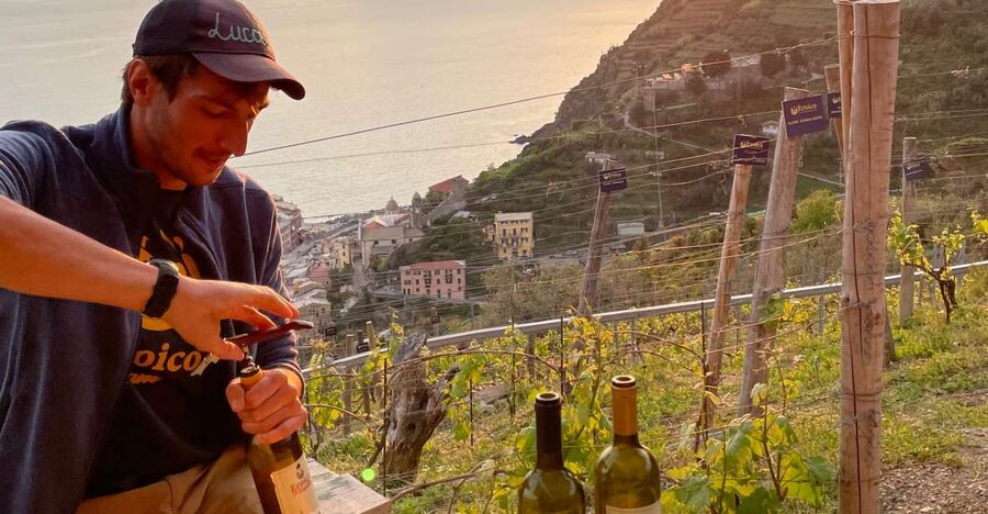 Vernazza: Panoramic Vineyard Trekking Tour w/ Wine Tasting - The 30-minute uphill hike: stairs, sea views, and a steady pace