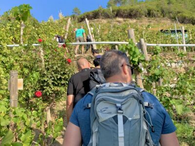 Vernazza: Panoramic Vineyard Trekking Tour w/ Wine Tasting - Meeting point at Cinque Sensi Vernazza (and finding Luca fast)