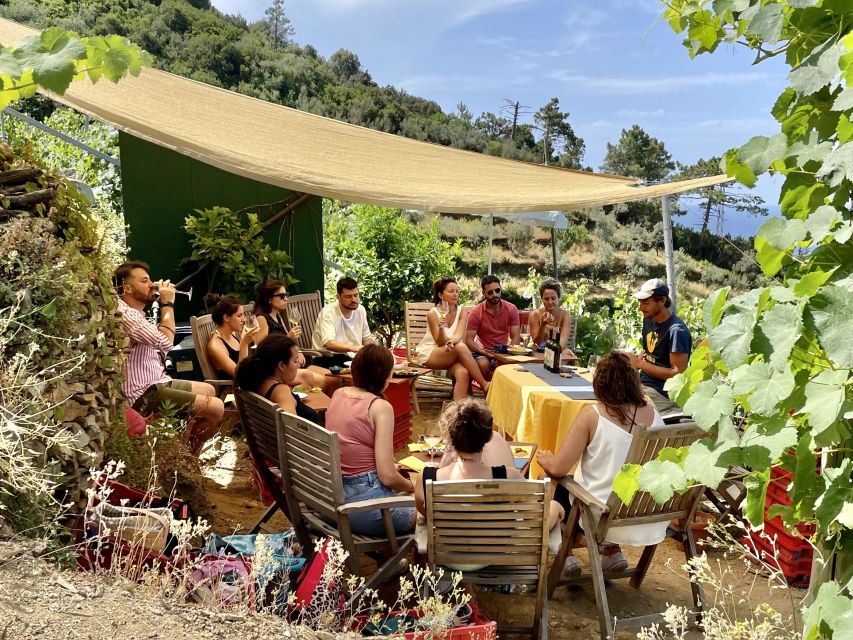 Vernazza: Panoramic Vineyard Trekking Tour w/ Wine Tasting - The return hike: same trail, different view (and watch your footing)