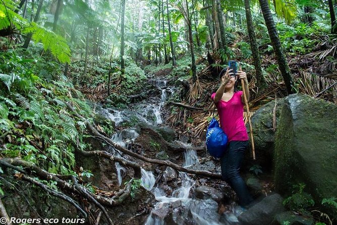 Volcano Caldera (Mt. Liamuiga) Trek / Hike - Key things to know before you go