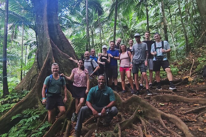 Volcano Caldera (Mt. Liamuiga) Trek / Hike - Mt. Liamuiga volcanic cone trek: views, altitude, and pacing
