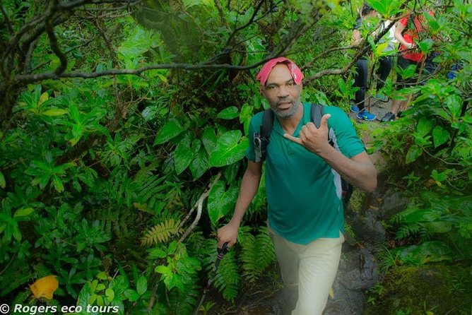 Volcano Caldera (Mt. Liamuiga) Trek / Hike - Price and value: what $90 buys on this guided hike