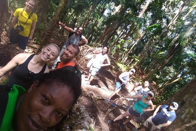 Volcano Caldera (Mt. Liamuiga) Trek / Hike - Weather, fitness, and who this fits best