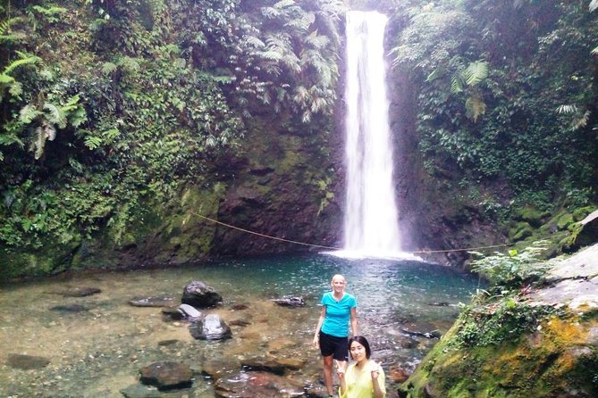 volcano hike and jungle trekking adventure - Rice plantation views, plus the guide’s local nature talk