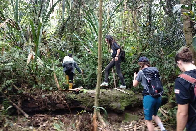 volcano hike and jungle trekking adventure - Who should book this Mt. Salak volcano + jungle trek