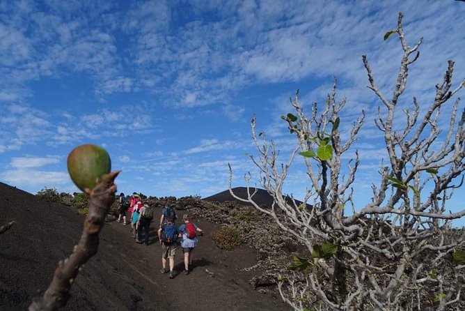 Volcano Trekking Tour (Timanfaya eruptions) - Timanfaya Trekking Tour: What the Experience Really Feels Like