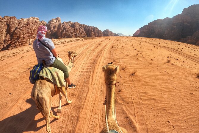 Wadi Rum: Camel Trek Adventure - Meeting up at Wadi Rum Rest House (and why it matters)